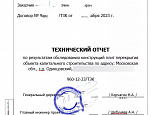 Образец отчета